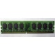 Модуль оперативной памяти 4096Mb DDR2 Patriot PSD24G8002 pc-6400 (800MHz)  (Абакан)
