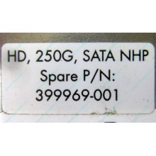 HP 250G 7.2k 432337-001/ 399699-001 / 397377-004 SATA HDD (Абакан)