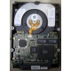 Жесткий диск 18.2Gb IBM Ultrastar DDYS-T18350 Ultra3 SCSI (Абакан)