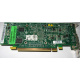 Видеокарта Dell ATI-102-B17002(B) зелёная 256Mb ATI HD2400 PCI-E (Абакан)