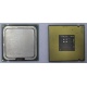 Процессор Intel Celeron D 336 (2.8GHz /256kb /533MHz) SL98W s.775 (Абакан)
