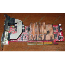 Видеокарта MSI TD128LF 8998 128Mb nVidia GeForce FX5500 AGP (Абакан)