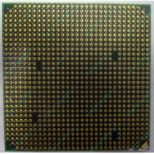 Процессор AMD Athlon 64300+ (1.8GHz) ADA3000IAA4CN s.AM2 (Абакан)