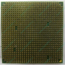 Процессор AMD Sempron 3000+ (1.6GHz) SDA3000IAA3CN s.AM2 (Абакан)